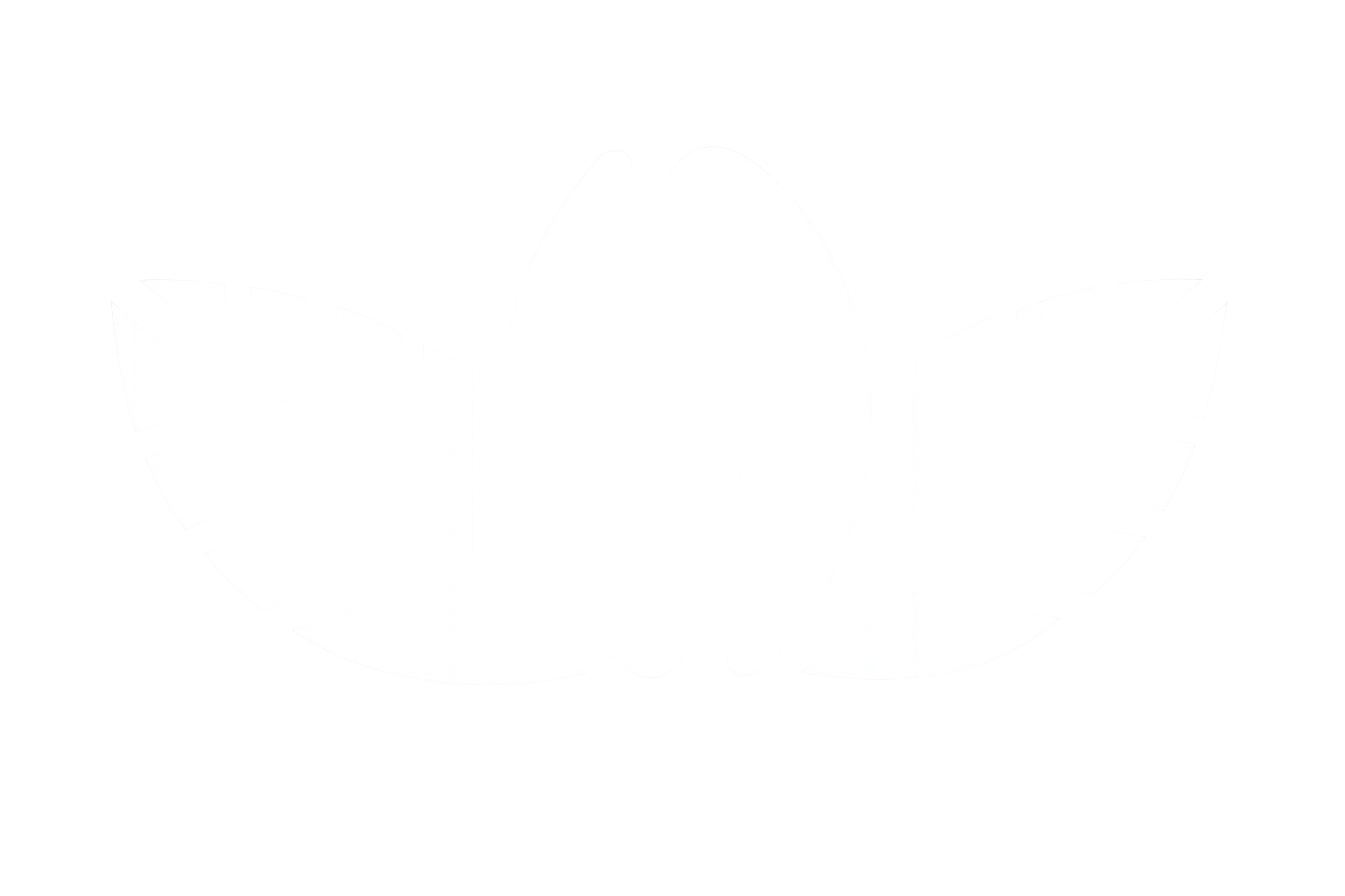 Premium Indonesian Green Coffee Beans