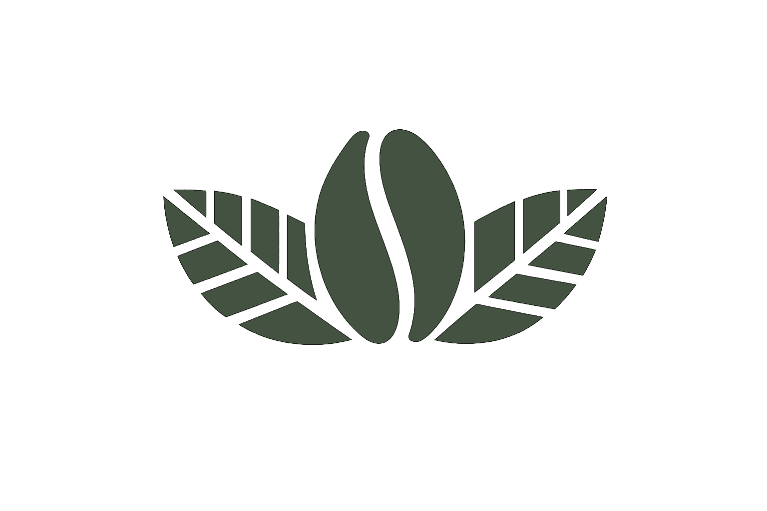 Premium Indonesian Green Coffee Beans
